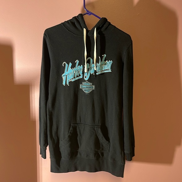 Harley-Davidson Other - Authentic Harley Davidson Apache Junction Arizona Hoodie